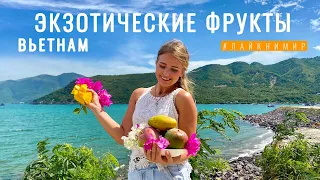 Вьетнам. ЭКЗОТИЧЕСКИЕ ФРУКТЫ. Детальный обзор тропических фруктов! Обзор и дегустация! Вьетнам 2022