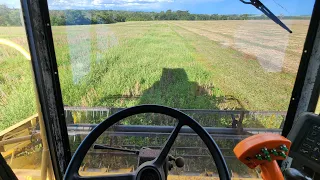 Colheita no Jaraguari MS não é para Amadores 😎