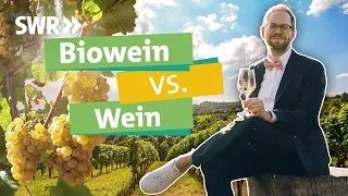 Wein - warum bio nicht immer besser ist & Tetrapacks nachhaltiger als Flaschen sind I Ökochecker SWR