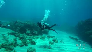 Florida Keys Diving