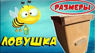 Ловушка для пчел своими рукам! Размеры и инструкция по изготовлению.!