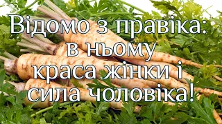 Відомо з правіка: в ньому краса жінки і сила чоловіка!