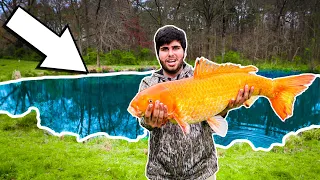 We Caught a $20,000 Fish IN A PUDDLE!