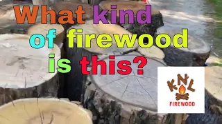 Firewood identification, special Friday edition - n. 62 #firewood #woodhounds #eastonmade