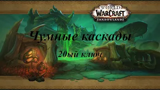 Герой ключей: Чумные каскады! Медведь || Guardian Druid - Plaguefall +20