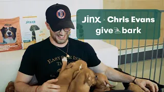 Jinx & Chris Evans: Rescuing Dogs at Animal Haven NYC