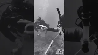 scuba diver - Scientific diver