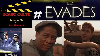 Scène Culte 12 # Les évadés (The Shawshank Redemption)