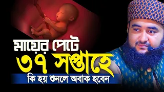 মায়ের পেটে ৩৭ সপ্তাহে কি হয় জানেন শুনলে অবাক হবেন। Mustafiz rahmani