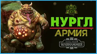 Нургл и его армия (Total War Warhammer 3) | Лор (Бэк) Вархаммер - (отряды и демоны Хаоса)