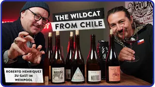 Young Winemaker of the Year - Roberto Henriquez & Vino Pipeño im Weinpool - WEIN AM LIMIT