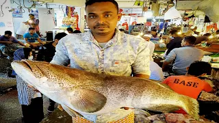 Giant Grouper Fish Cutting By Expert Fish Cutter || Fish Cutting Skills ||