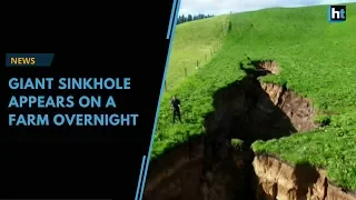 Video | Giant sinkhole appears on a North Island farm overnight
