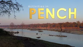 Pench Tiger Reserve | Things to do in Pench Tiger Reserve