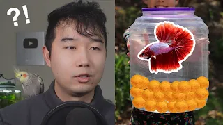 DIY Betta Fish Tank GONE WRONG | Fish Tank Review 191