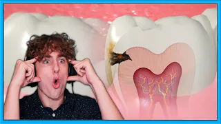how to brush your teeth - fight tooth decay *REACTION*