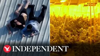 Suspects try to hide phones on roof as police uncover cannabis farm