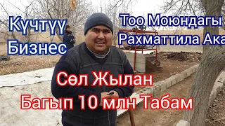 Сөөл Жылан Багып Айына Млн Табам Кирешелүү Бизнес 👍