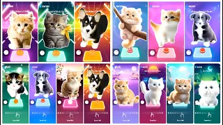 CUTE CATS & PUPPY COMBO BATTLE ▶️ Kitty BlackPink 🆚 Puppy Bruno Mars 🆚 Kitty Jiso 🆚 Kitty Sia