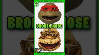 TMNT Raphael Breaks Nose