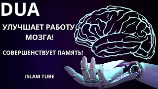 Прекрасное Дуа. Улучшает Работу Мозга. Укрепляет Память!💯٪