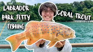 Labrador Jetty Fishing: Coral Trout (Grouper) | Catch and Cook | Fishing in Singapore