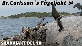 Skarvjakt Del 18. OVÄNTAT BESÖK I SKÅREN!