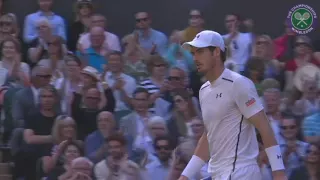 2016, Day 11 Highlights, Andy Murray vs Tomas Berdych