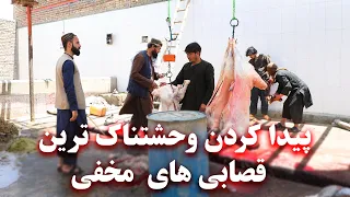 Control of secret butcheries - کنترول قصابی های مخفی