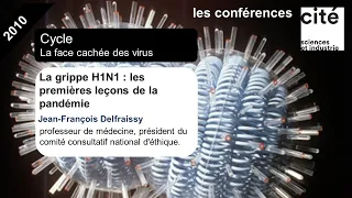 La grippe H1N1 : les premières leçons de la pandémie (2010)