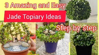 3 Amazing and Easy Jade Topiary Ideas/Step by step Topiary Ideas/ आसान तरीके से बनाएं Jade Topiary #