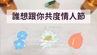 誰想跟你共度情人節 Part 1「無時間限制」｜塔羅占卜+占卜小物｜Ora Tarot