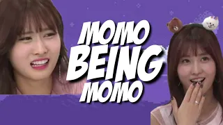 10 MINUTES OF MOMO BEING CLUMSY (OR SOMETHING)