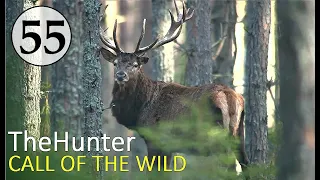 ОХОТА на Вапити.  TheHunter Call of the Wild # 55