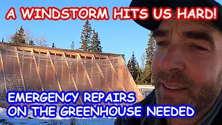 Episode 16: EMERGENCY REPAIRS ON THE OFF GRID  PASSIVE SOLAR GREENHOUSE AFTER A WIND STORM!