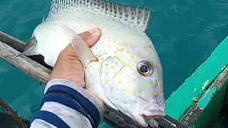 Mega Jackpot Tayo Pambihira! traditional handline fishing