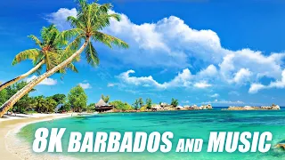 Barbados and Music 8K HDR 60FPS DEMO