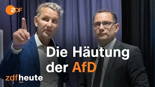 Wie die AfD ihren rechtsextremen Kern freilegt | Berlin direkt