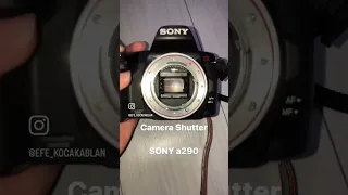 SONY a290 Shutter