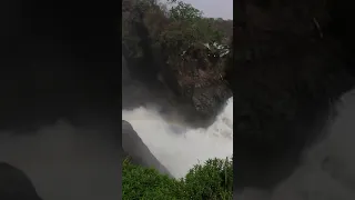 Explore the most powerful falls in the world -  The Murchison Falls found in Uganda