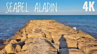 HOTEL SEABEL ALADIN DJERBA, REVIEW - VIDEO RECENZE, 4K