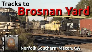 [7G][4k] Norfolk Southern Trains on Tracks to Brosnan Yard in Macon, GA 11/09/2019