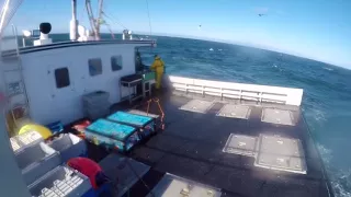 Lobster Fishing LFA 35 Nova Scotia