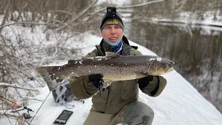 Hooaja algus ja juba REKORDID PURUNEVAD! Läksime jõeforelli püüdma aga saime 67cm MERIFORELLI!