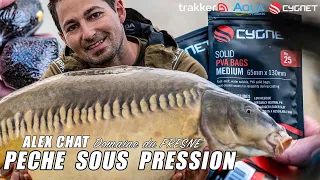 Sous Pression: Carpes en Gravière avec Alex Chat