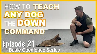 How to Teach ANY Dog to Lie Down on Command. Episode 21