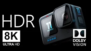 GoPro HERO 11 HDR 10-bit 8K | Sharper than an eagle’s eye