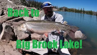 Backpacking for big brook trout in the High Uintas - back to a favorite lake.