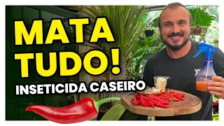 MATA TUDO! Acabe com COCHONILHA, MOSCA BRANCA, PULGÃO | Inseticida Caseiro com PIMENTA