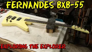 Fernandes Explorer Copy - Teardown and Troubleshoot